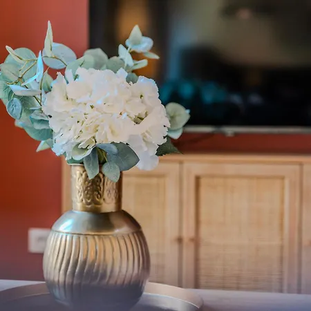 Vakantiehuis Maison Segrais - 6 Pers - Jardin - Vaugueux - Abbaye Caen