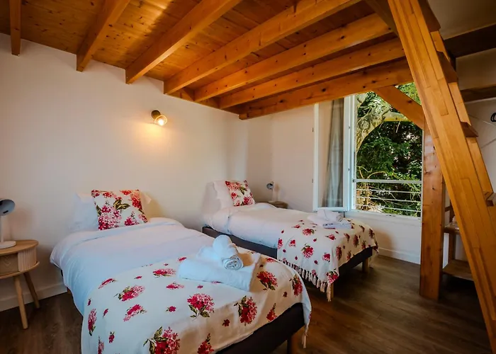 Maison Segrais - 6 Pers - Jardin - Vaugueux - Abbaye